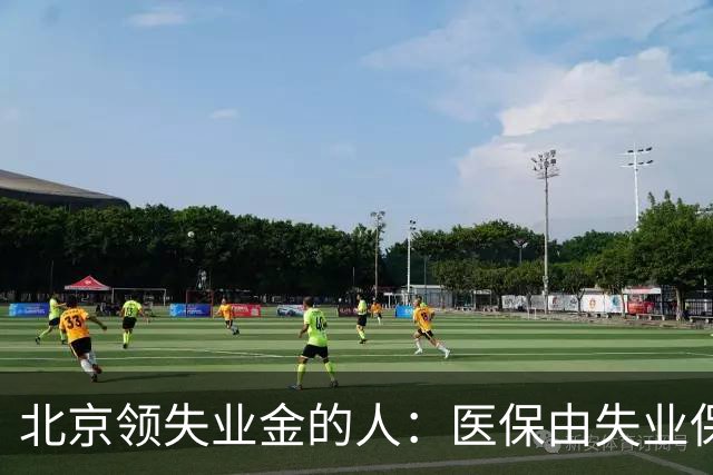 北京领失业金的人:医保由失业保险基金代缴,停了要赶紧自己续