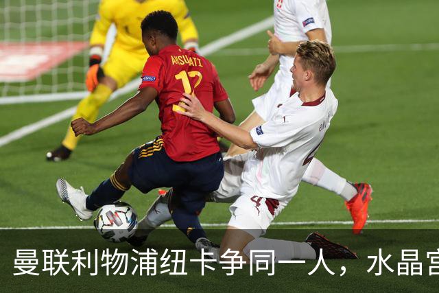 曼联利物浦纽卡争同一人，水晶宫标价6500万欧